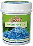 Gabi 111650 Hortensien, blau