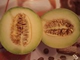 Galia Melone (Zuckermelone) 10 frische Samen (Zum selber Züchten)