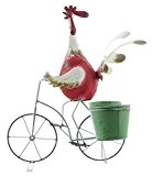 Gall & Zick Huhn mit Fahrrad und Blumentöpfen