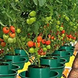 Garden Innovations Tomaten-Pflanzenbeutel, 3 Stück
