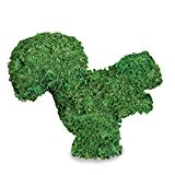 gardensity® Formschnitt Tiere Full Kit Künstliche Garten Topiary Tiere Rahmen & Pre gefüllt