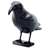 Gardigo Vogelabwehr Krähe Kunststoff-Taubenschreck schwarz