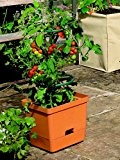 Gardman 08669 Robuster Kübel, besonders für Tomaten und anderes Gemüse geeignet