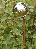 Gartendeko Stecker Lolly Pop Rost mit Edelstahlkugel 80 mm
