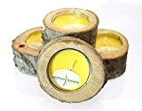 Gartenpaul 4er Set: Outdoor Kerze Windlicht Duftkerze Lemon Grass in Pappel Baumscheibe mit Rinde Maße ø 16 cm, Höhe: 7 ...