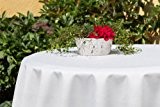 Gartentischdecke oval mit Bleiband im Saum, in vielen verschiedenen Größen, Farben acrylbeschichtet, pflegeleicht in Designs:Oslo, crem-weiß Maß: 130x180