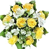 Geburtstag - Blumenstrauß mit gelben Rosen und weißen Alstromerien