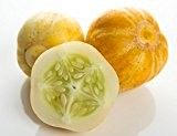 Gelbe Gurke 'Crystal Lemon' Zitronengurke - 20 Samen