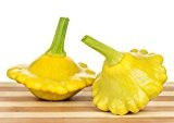 Gelbe Ufo Zucchini Yellow Squash - 20 Samen
