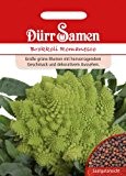 Gemüsesamen - Brokkoli Romanesco von Dürr-Samen