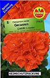 Geranien Pelargonium zonale Luci F1 10 Korn frische Samen