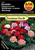 Geranien Pelargonium zonale Mutibloom Mix F1 10 Korn frische Samen