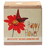 Geschenk-Anzuchtset "Happy Flower" - Mexikanische Sonnenblume