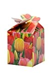geschenkartikel-shopping Geschenkset Me to you Mini Boxen 2er Set Tulpen mix Geschenkidee Blumenzwiebeln