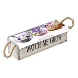 geschenkartikel-shopping Pflanz-Set essbare Blumen Violett Holzkasten watch me grow Geschenkset
