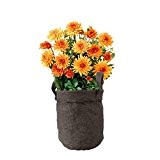 geschenkartikel-shopping Pflanz-Set Orange Dahlia Dahlien Samen Blumensamen Jutetasche Beutel Garten