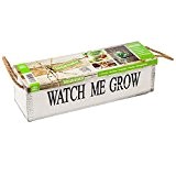 geschenkartikel-shopping Watch me grow Kräutersamen Garten Samen Pflanz-Set Holzkiste