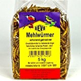 GEVO-Mehlwürmer, getrocknet 5 kg