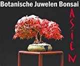 Gewächshaus Botanische Juwelen Bonsai Asien