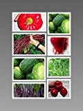 Gigantische/s Gemüse/Früchte -Saatgut-Set- - 160 Samen -