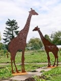 GIRAFFE 200cm Afrika Safari Rost Edelrost Metall + Original Pflegeanleitung von Steinfigurenwelt