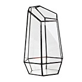 Glas Terrarium Hexagonal Fee Miniatur-Gartenhaus Gewaechshaus Pflanzbehaelter 12x10x19cm