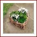 Grabschmuck Herz Pflanzherz aus Rebenholz zum Bepflanzen Pflanzschale Herz als Gartendeko Terrassendeko oder Grabschuck