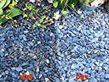 Granit Einstreu Kies für Garten Innenhof Weg Pflanze Top Verband, irisierendes Blau Einstreu Granit (10-20 mm), 1 kg
