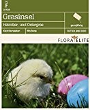 Grasinsel Heimtier- und Ostergras von Flora Elite