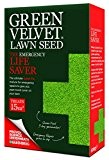 Green Velvet Rasensamen, ideal für Notfälle, 600 g