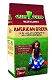 Greenfield 62051 American Green Rasensaat 5 kg für ca. 250 qm