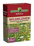 Greenfield ReNatura: Wildblumen von Feldsaaten Freudenberger