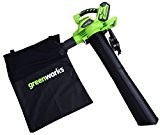 Greenworks Tools 24227 40 V Laubgebläse und Sauger (ohne Akku und Ladergerät)