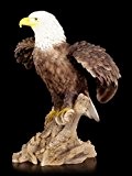 Große Adler Gartenfigur - Weißkopfseeadler - Gartendeko Vogel