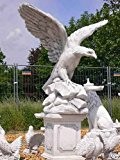 Großer Adler Greifvogel Steinfigur Vogel Steinguss Statue + inkl. original Pflegeanleitung von Steinfiguren Welt