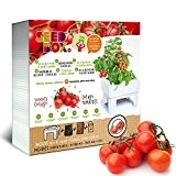 Grow kit SeedBox CULTÍVAME - Cherry Tomatoes