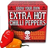 Grow Your Own Extra Hot Chilli Peppers