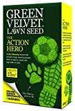 Grün Velvet 450 g Rasensamen der Action Hero