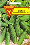 Gurken, Freilandgurken, ca. 80 Samen