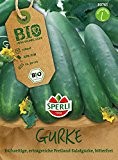 Gurkensamen - Bio-Gurke (Salatgurke) Sonja - Bio-Saatgut von Sperli-Samen