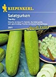 Gurkensamen - Salatgurke Travito von Kiepenkerl