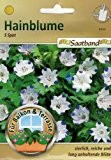 Hainblume 5 Spot Saatband für Balkon & Terrasse zierlich reiche und lang anhaltende Blüte Nemophila 53030