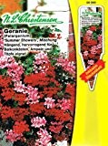 Hängepelargonien Geranien Mischung Summer Shower Pelargonium peltatum