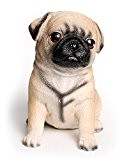 Happy Gifts Dekofigur Mops Welpe - kleiner Hund für Wohnung und Garten, ca. 15 cm