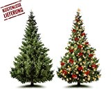 Harzer Fichte als Weihnachtsbaum 100-150cm