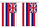 Hawaii US State Polyester Flagge Wimpelkette 9 m (30 ') Wimpelkette mit 30 Flaggen