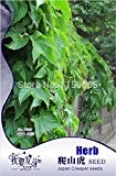 Heiße verkaufen50pcs Japan Creeper Samen, Kräuter-Samen, Efeu Samen, Bonsai Topfpflanze Hausgarten