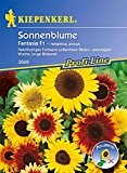 Helianthus annuus Sonnenblume Fantasia Mix verzweigt