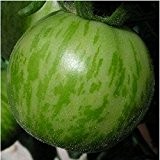 Hell- / dunkelgrün gestreifte Tomate - Green Zebra - 20 Samen