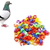 HeroNeo Clip-Ringe für die Beine von Hühnern, Tauben, Enten, Papageien, Geflügel und anderen Vögeln, 100 Stück